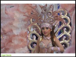 Carnaval de Mula 2014